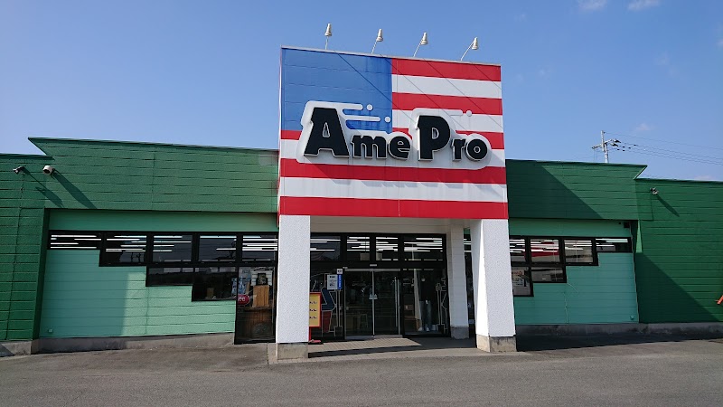 AmePro