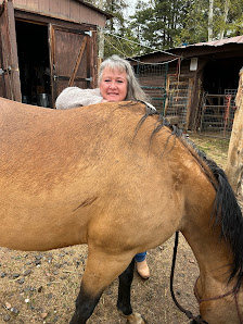 Ignite The Mind 11485 Old Hwy 285 Frontage Road Suite 203, Conifer, CO 80433, United States