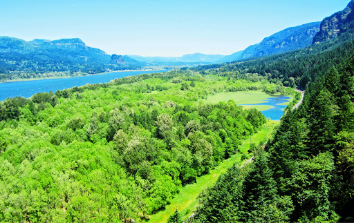 Waterfall «Horsetail Falls», reviews and photos, Historic Columbia River Hwy, Cascade Locks, OR 97014, USA