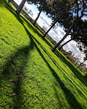 Hollydale Regional Park - photo 87
