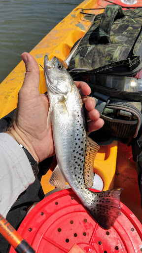 Park «Morse Park Landing», reviews and photos, 4939 US-17 BUS, Murrells Inlet, SC 29576, USA