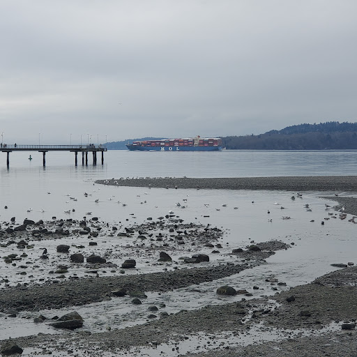 Trail to Des Moines beach park