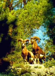 Photo n°42 de Domaine de Roquerousse à Salon-de-Provence ()