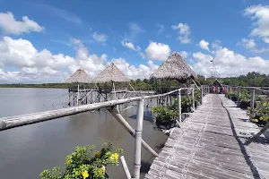 Silagon Mangrove Eco-Park image