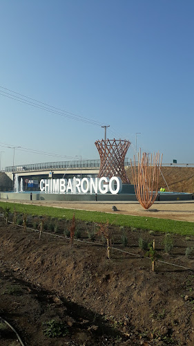 Comentarios y opiniones de Monumento al mimbre-Chimbarongo