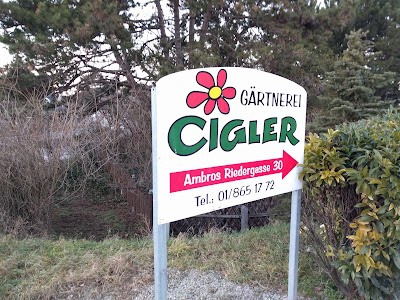 Photos of G&auml;rtnerei Markus Cigler