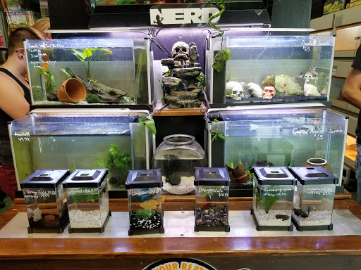 Pet Store «Zoo Creatures Pet Store», reviews and photos, 149 Plaistow Rd, Plaistow, NH 03865, USA