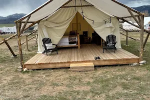 Yellowstone Dreamin Camp image