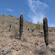 Phoenix Sonoran Preserve
