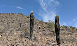 Phoenix Sonoran Preserve