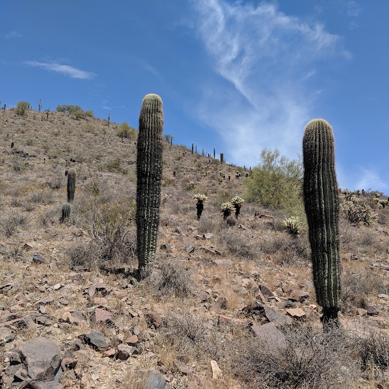 Phoenix Sonoran Preserve