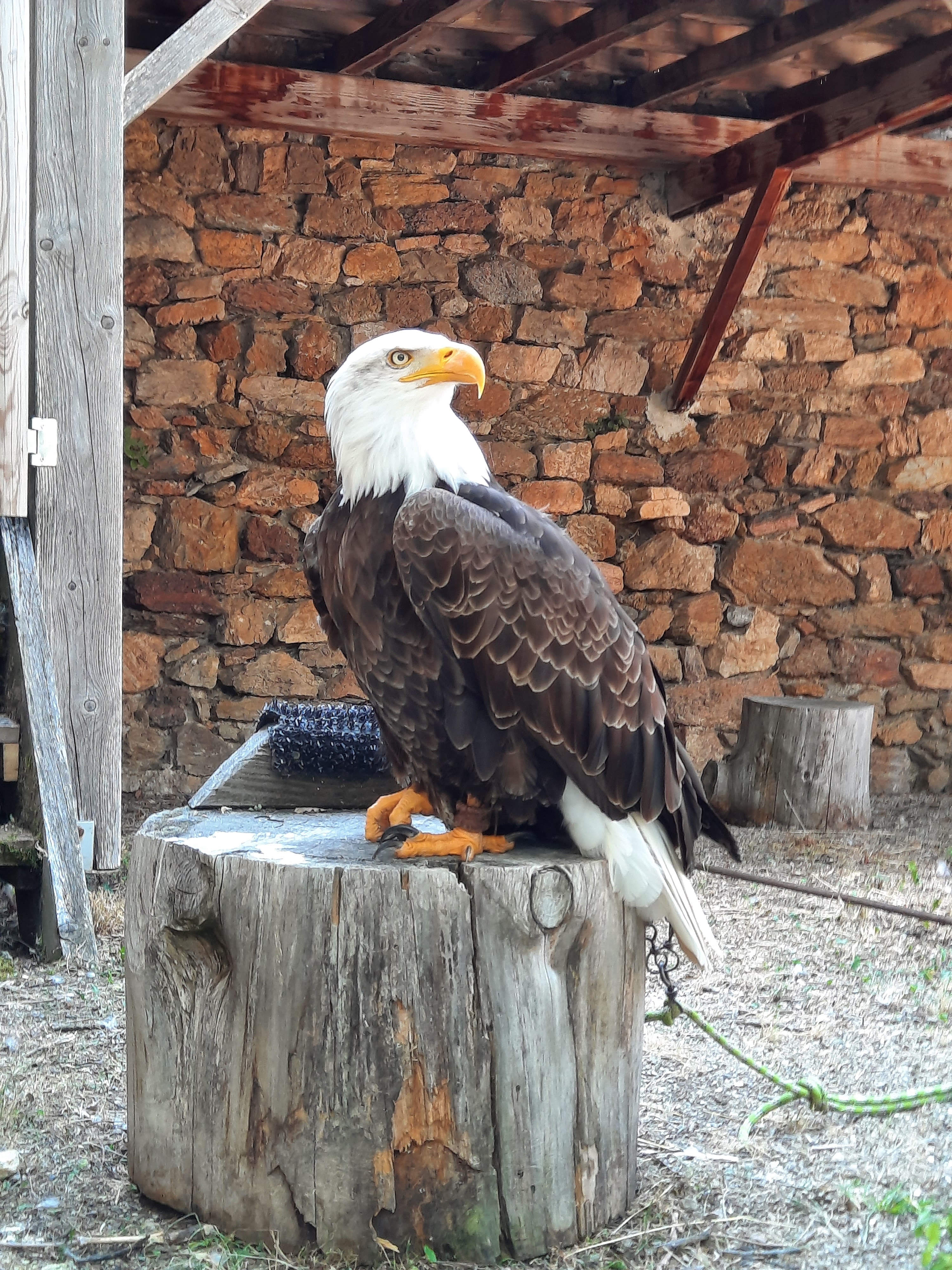 Photo n° 6 de l'avis de Dominique.o fait le 19/07/2022 à 17:28