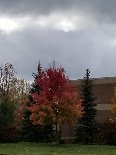 Supermarket «ALDI», reviews and photos, 5165 Marsh Rd, Okemos, MI 48864, USA