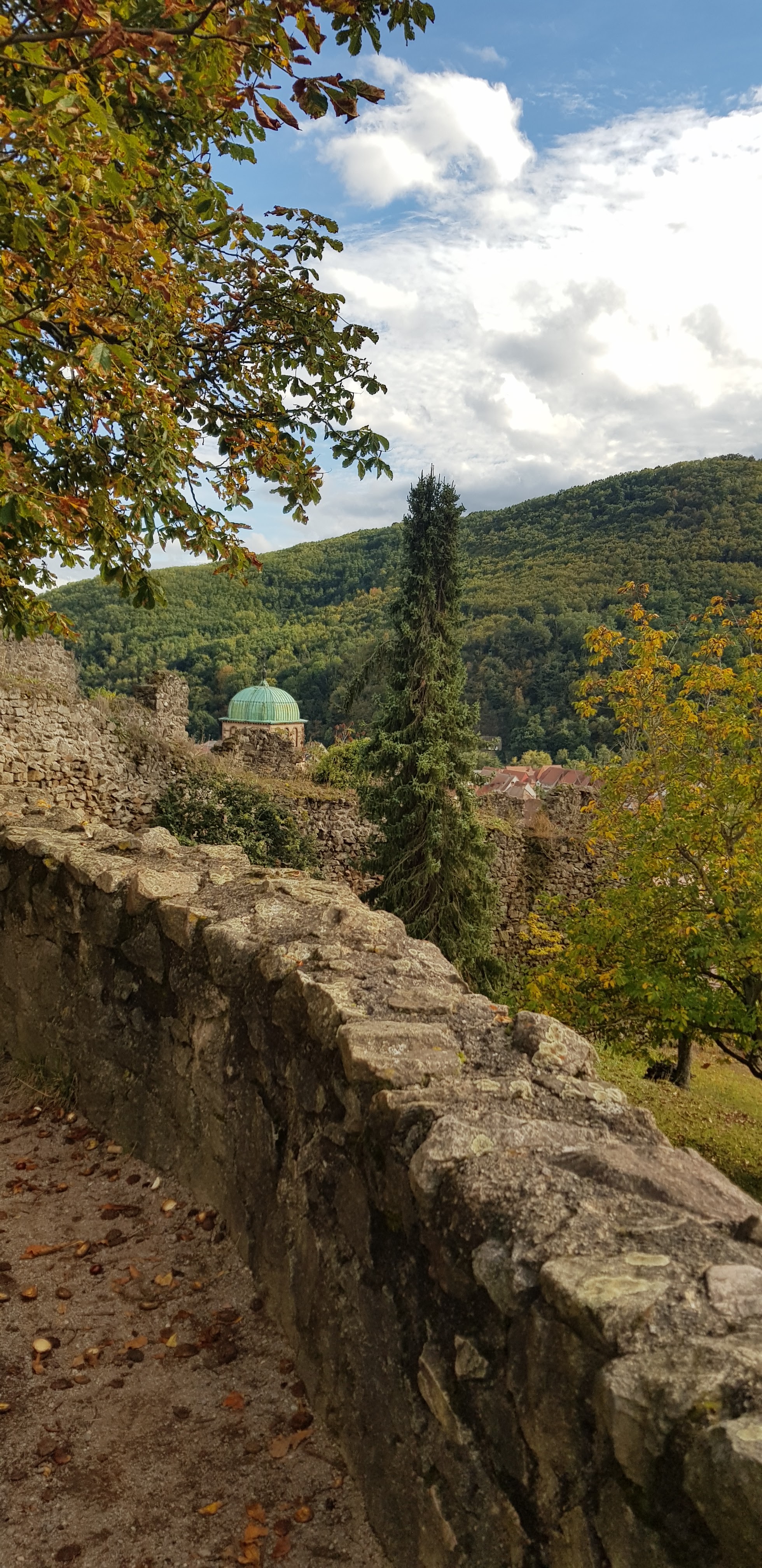 Photo n° 6 de l'avis de Nadine.a fait le 05/10/2021 à 15:20