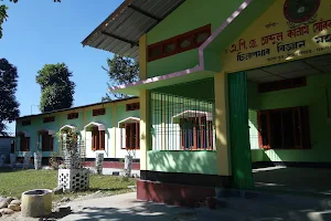 Silapathar Science College image