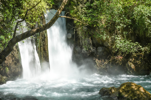 Hermon Stream Nature Reserve