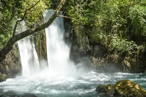 Hermon Stream Nature Reserve image