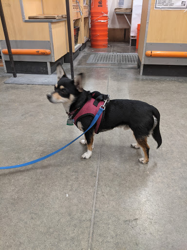 Home Improvement Store «The Home Depot», reviews and photos, 1122 Ulster Ave, Kingston, NY 12401, USA