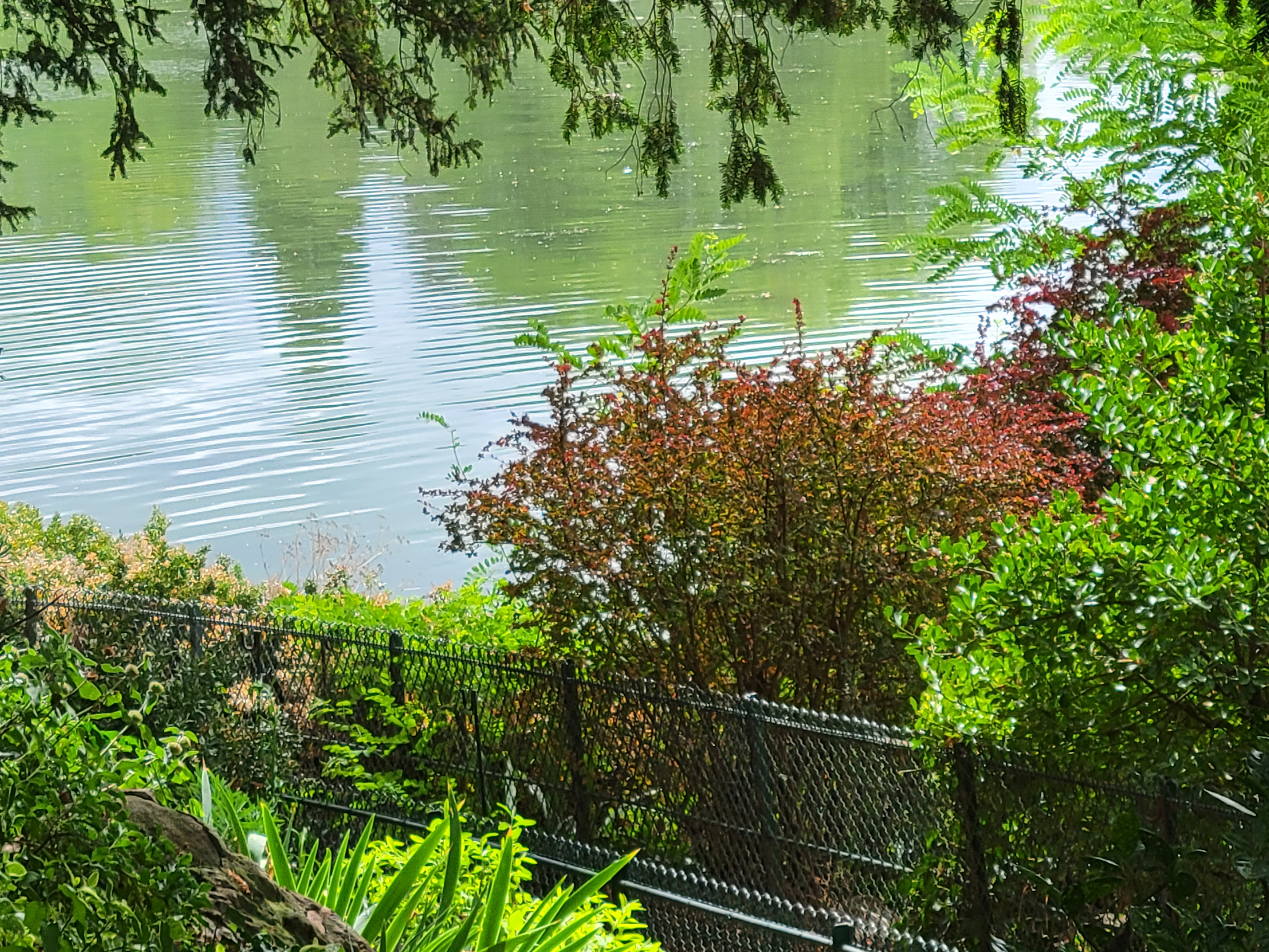 Photo n° 4 de l'avis de Kirk.e fait le 01/08/2022 à 15:16