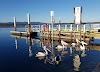 Mallacoota Foreshore Holiday Park Logo, Die Tekens, Australia, Campground