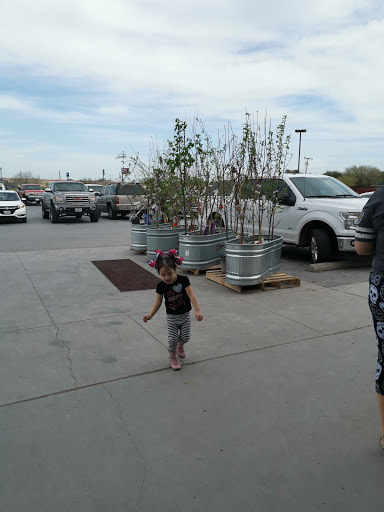 Home Improvement Store «Tractor Supply Co.», reviews and photos, 901 FM 509, San Benito, TX 78586, USA
