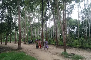 संजय वन Park image