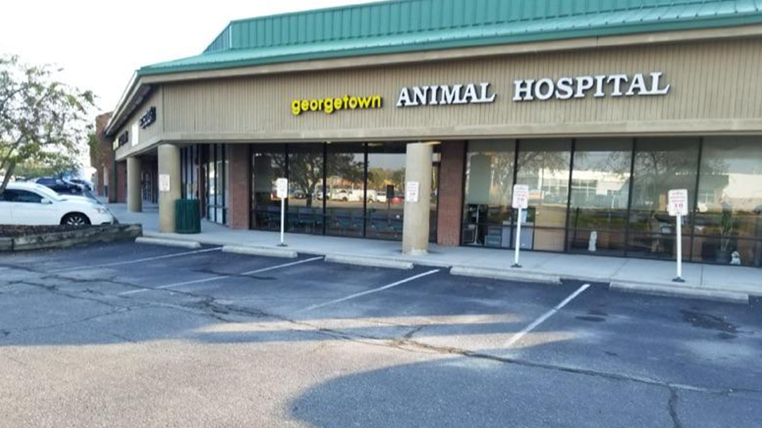 Georgetown Animal Hospital