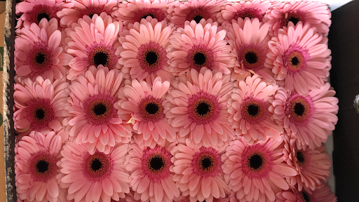 Riverside Flowers & Gifts, 1271 Columbia Ave #3, Riverside, CA 92507, USA, 