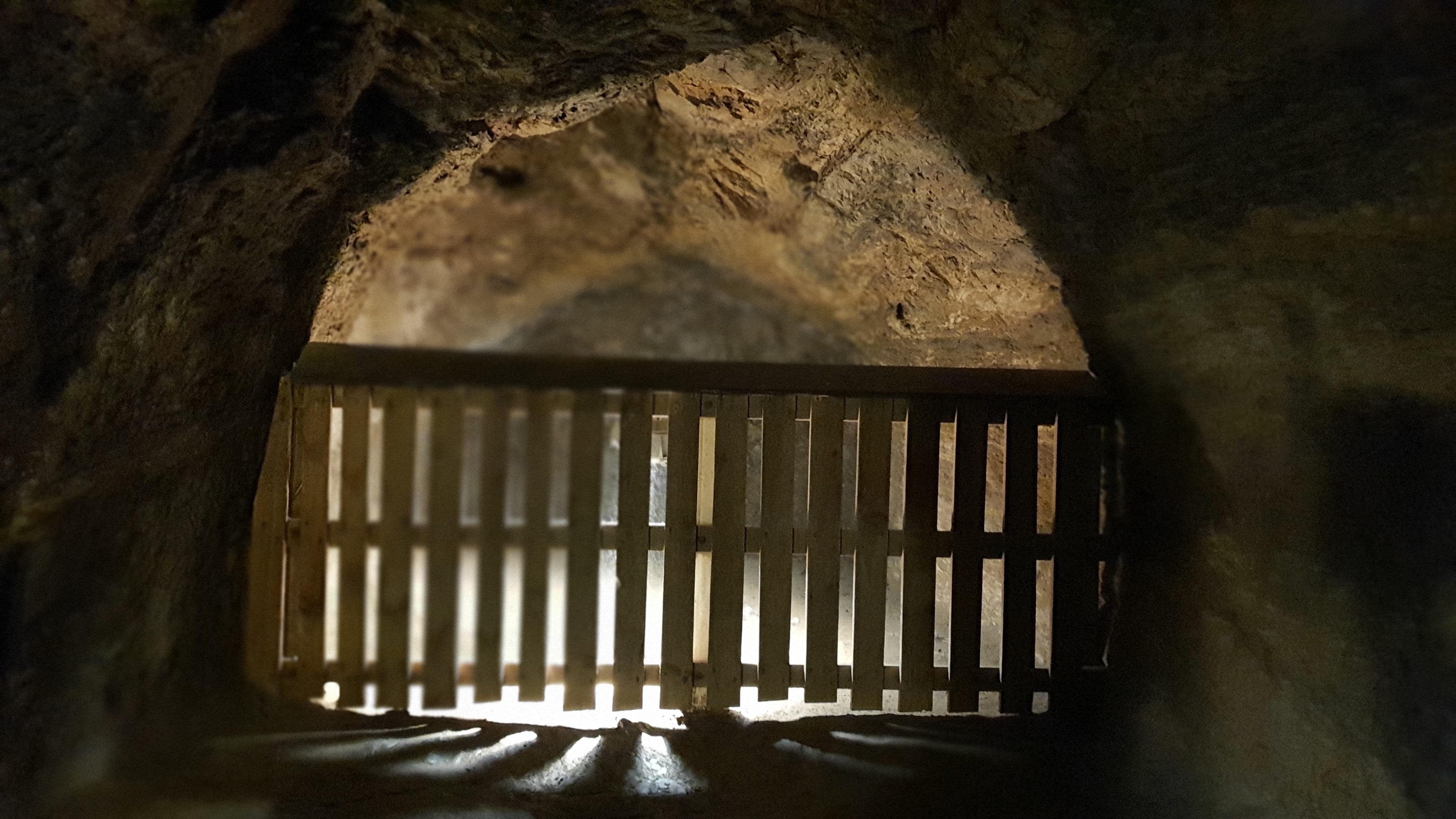 Photo n° 3 de l'avis de Théo.G fait le 20/08/2020 à 21:30
