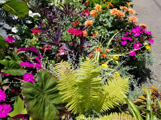 Garden Center «Westminster Nursery & Florist», reviews and photos, 30 Westminster Rd, West Hempstead, NY 11552, USA