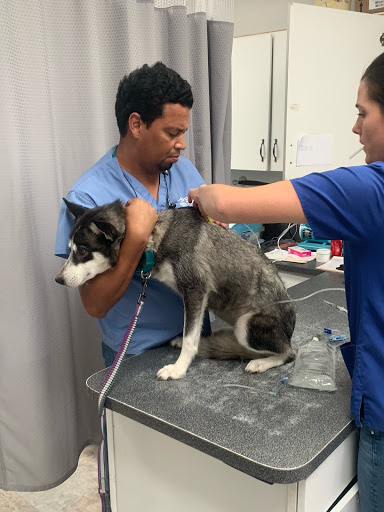 Batt Veterinary Services image