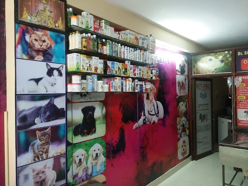 Dr. Singhal's Pet Care