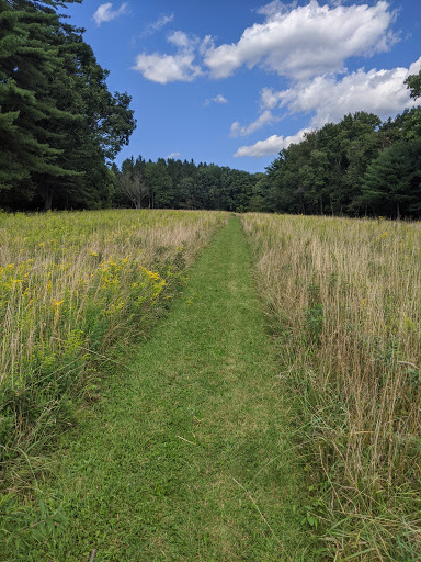 Museum «Dorflinger Glass Museum», reviews and photos, 37 Suydam Dr, White Mills, PA 18473, USA