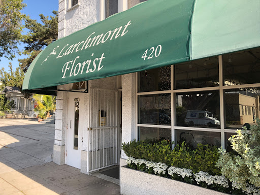 Florist «LARCHMONT VILLAGE FLORIST», reviews and photos, 420 N Larchmont Blvd, Los Angeles, CA 90004, USA