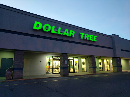 Dollar Store «Dollar Tree», reviews and photos, 117 Ballston Ave, Saratoga Springs, NY 12866, USA