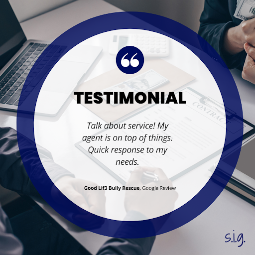 Insurance Agency «STONE INSURANCE GROUP LLC», reviews and photos