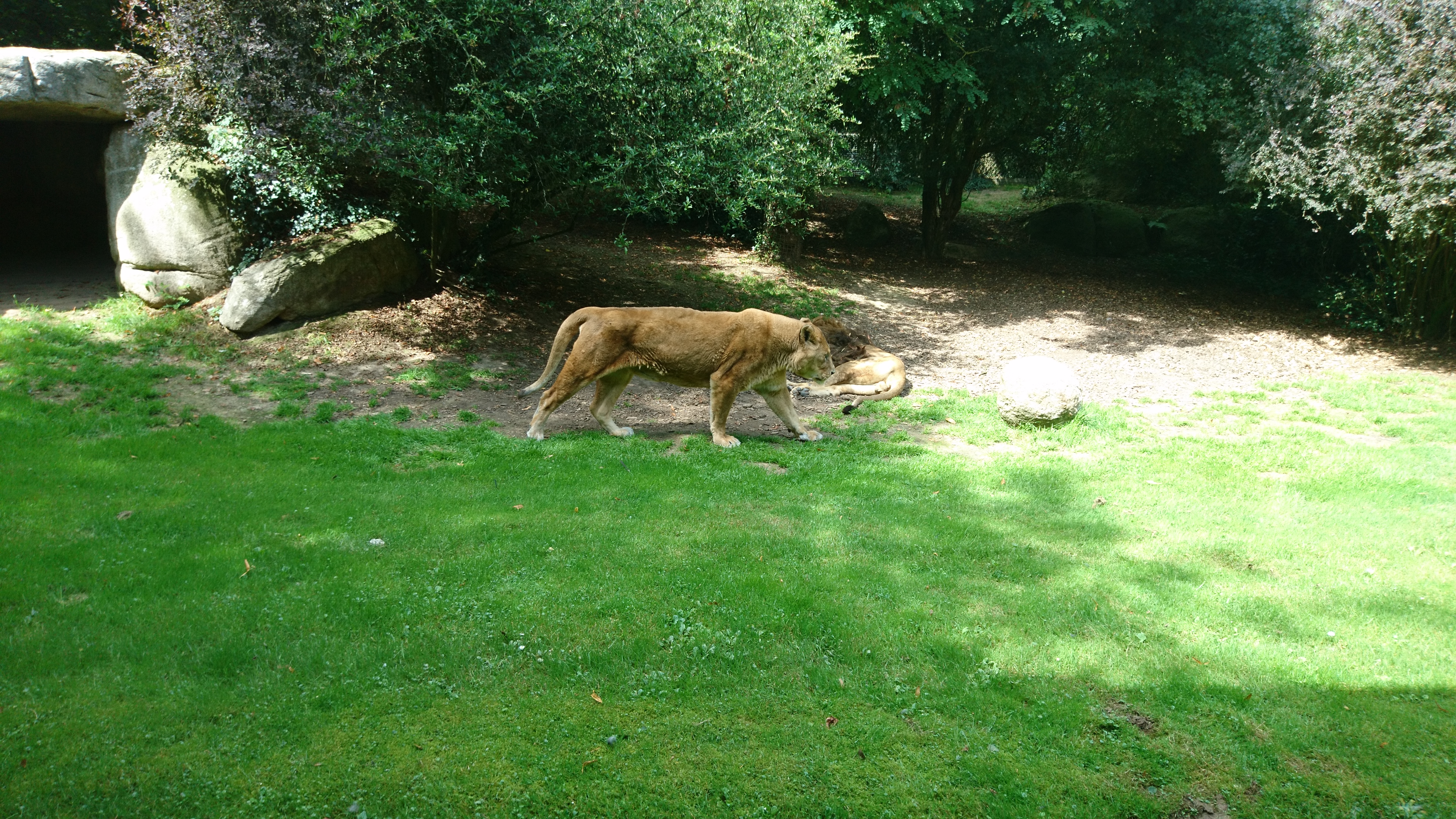 Photo n° 28 de l'avis de Philippe.e fait le 07/08/2017 à 14:04
