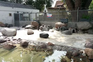 Zoo im Kurpark image