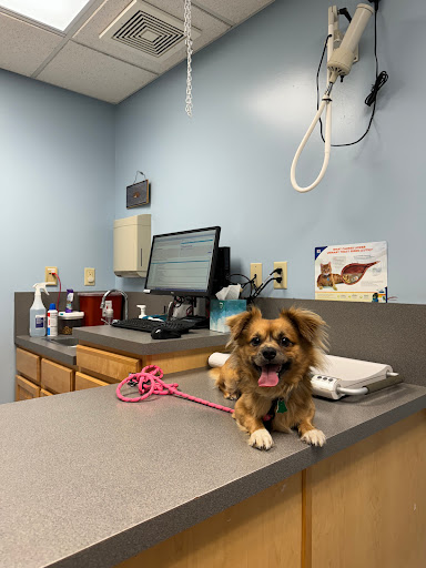Willow Ridge Animal Hospital image