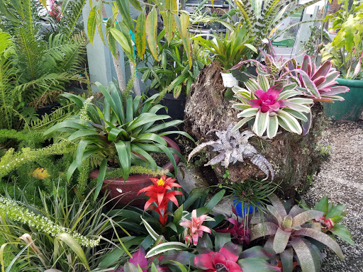 Garden Center «International Garden and Floral Design Center», reviews and photos, 155 N Sepulveda Blvd, El Segundo, CA 90245, USA