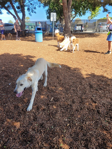 Rancho Caninos Dog Park