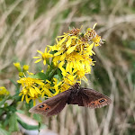 Photo n°1 de l'avis de Fulvio.o fait le 27/09/2022 à 19:02 sur le  Refuge Monte Marca - Oasi Zegna à Piatto