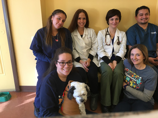 Glendale Veterinary Clinic image