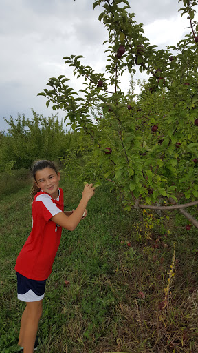 Orchard «Autumn Hills Orchard», reviews and photos, 495 Chicopee Row, Groton, MA 01450, USA