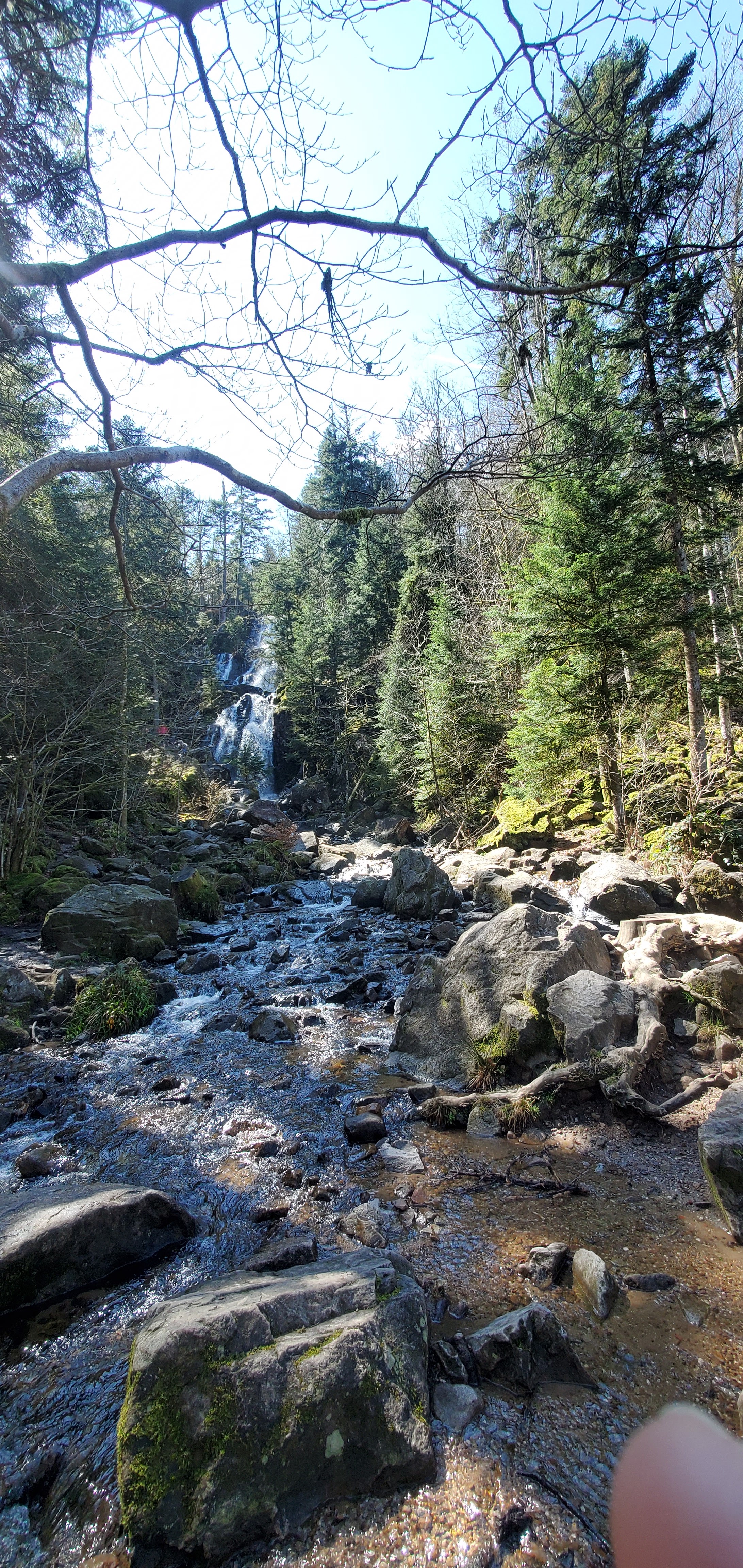 Photo n° 2 de l'avis de p.o fait le 11/04/2023 à 14:11