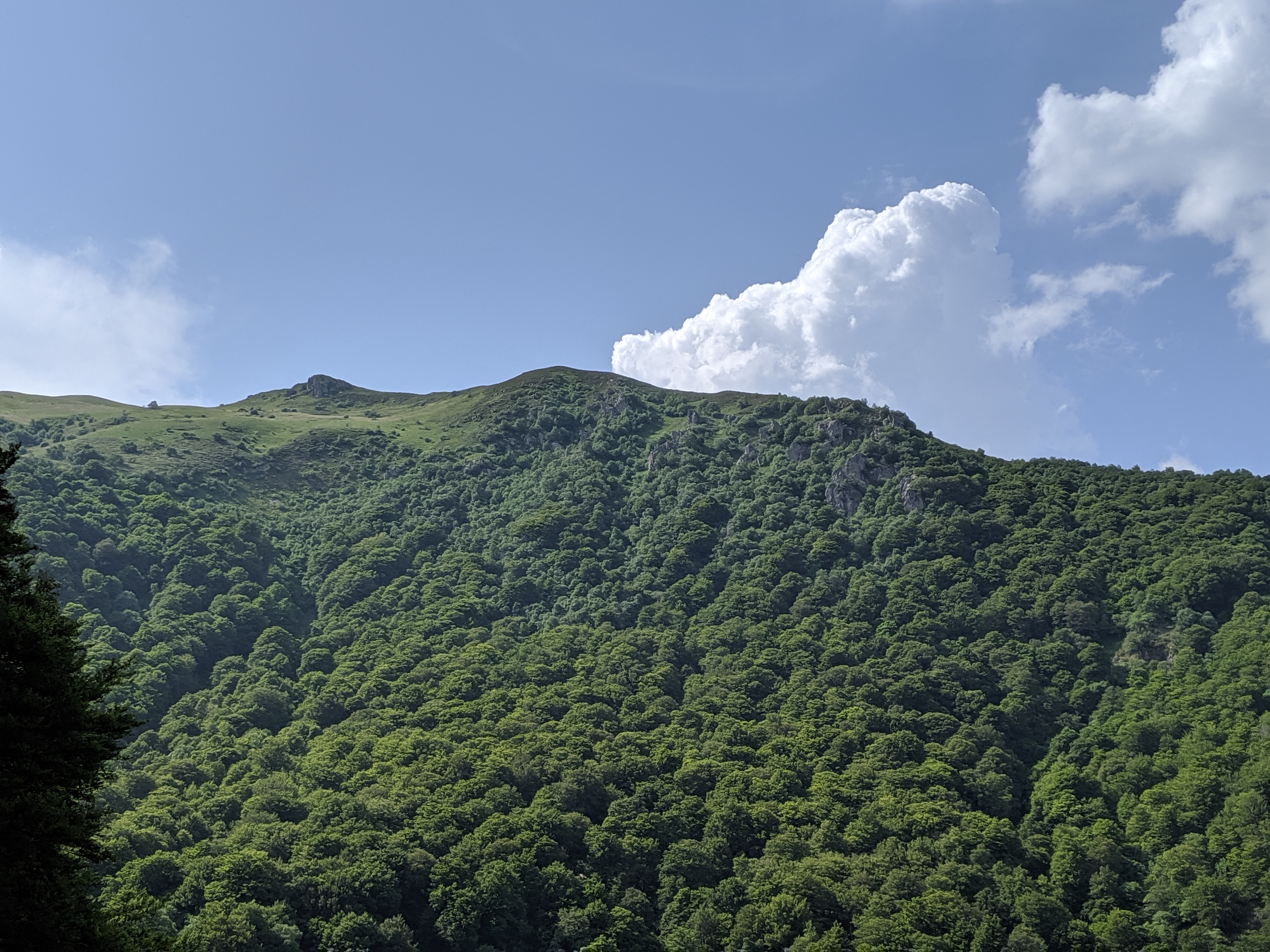 Photo n° 15 de l'avis de olivier.a fait le 02/08/2019 à 06:13