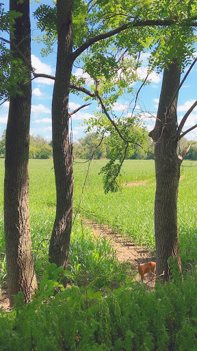 Nature Preserve «Canawaugus Park», reviews and photos, Rochester St, Scottsville, NY 14546, USA