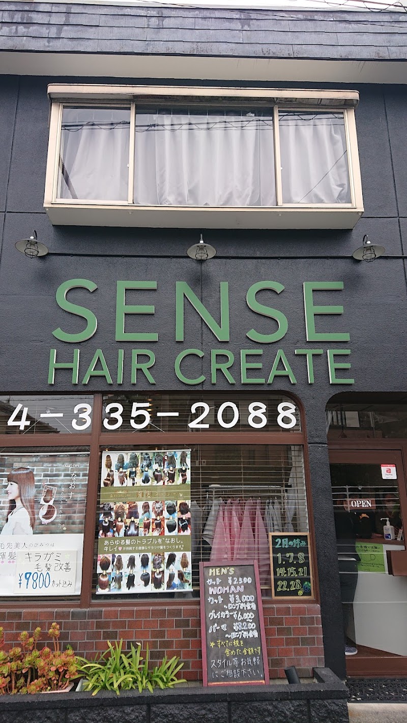 SENSE HAIR CREATE