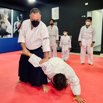 Escuela de Aikido Seishin Dojo