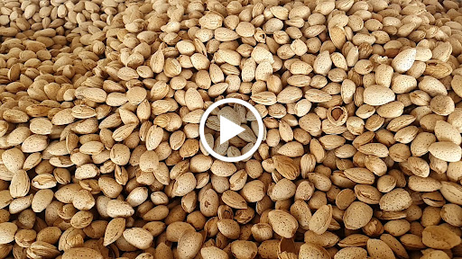 Produce Market «Dixon Fruit Market», reviews and photos, 7808 Batavia Rd, Dixon, CA 95620, USA